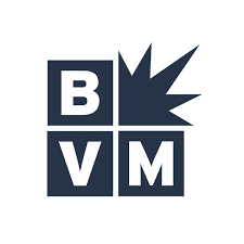 Best Version Media - Flutter Developer